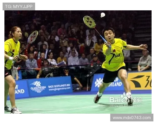 南京羽毛球队区域防守体系解析与战术应用探讨