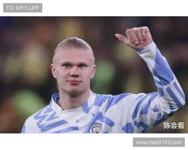 布欧足球明星的魅力与传奇：从绿茵场到万众瞩目的偶像之路